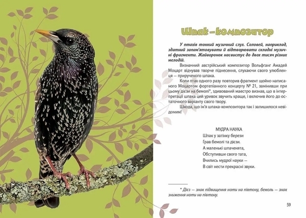 Вусохвості й лапокрилі. Читанка про тварин - Верховень В.М. - Pampik - 5