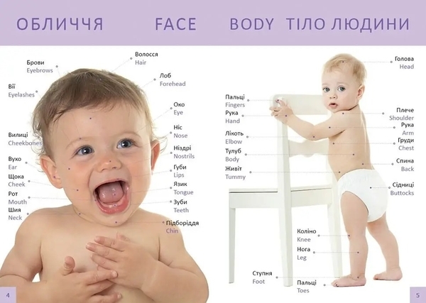 Перша книга малюка. Baby's first book - Гуменна Л.М. - Pampik - 6