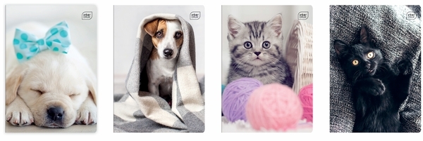Набір зошитів Interdruk Premium I Love Pets, лінія, 12 аркушів, 8 шт. (298652-8) - Pampik