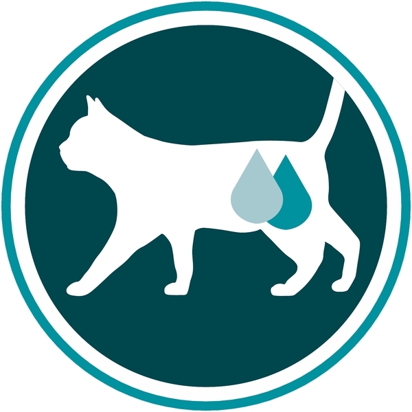 Вологий корм для кішок Purina One Adult Курка, зелена квасоля в гриль-соусі, 85 г - Pampik - 2