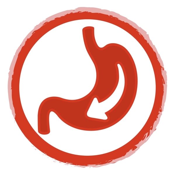 Сухой корм для взрослых активных собак Purina Friskies, с говядиной, 2,4 кг - Pampik - 7