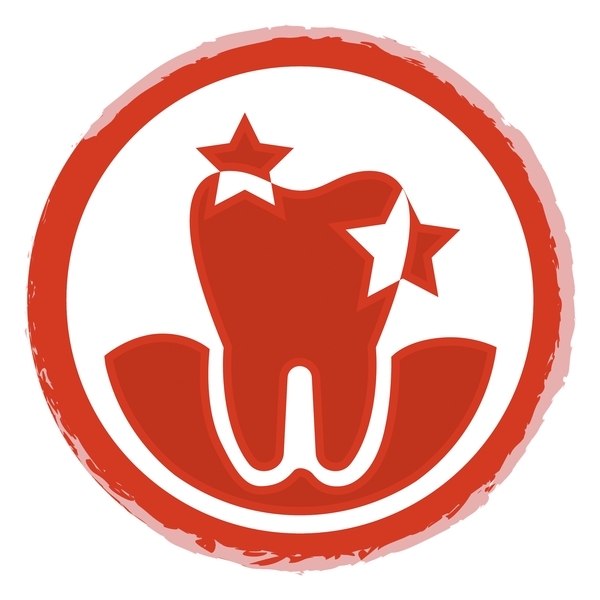 Сухой корм для взрослых активных собак Purina Friskies, с говядиной, 2,4 кг - Pampik - 5