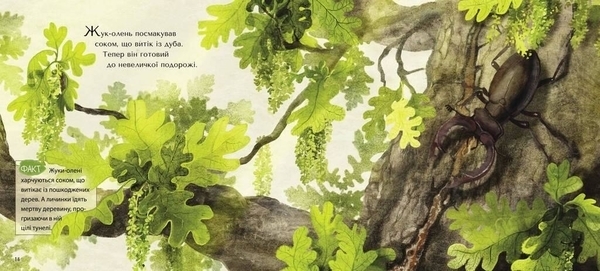 Большое Перевоплощение - Валя Вздульська - Pampik - 3