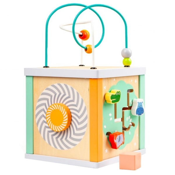 Дерев'яний бізікуб Ecotoys (одна тисяча тридцять одна) - Pampik