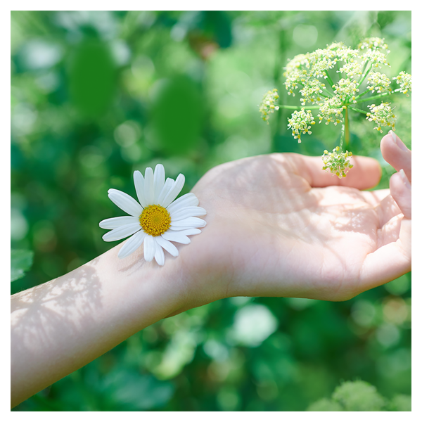 Гігієнічні прокладки Naturella Classic Normal, 10 шт. - Pampik - 5