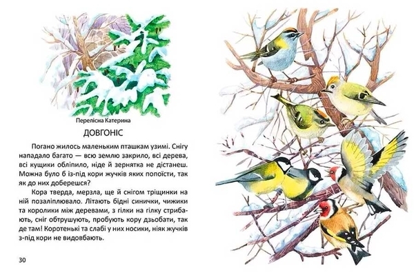 Малятам про звірят - Борзова В.В. - Pampik - 4