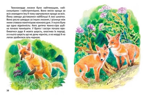 Малятам про звірят - Борзова В.В. - Pampik - 6