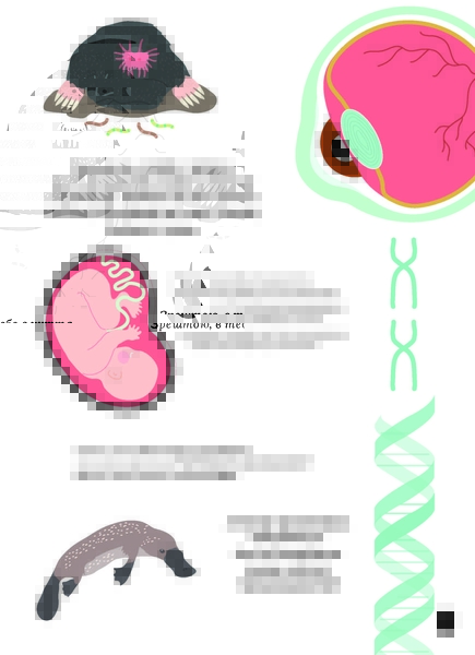 Тіло людини - Крістіна Перабоні - Pampik - 6