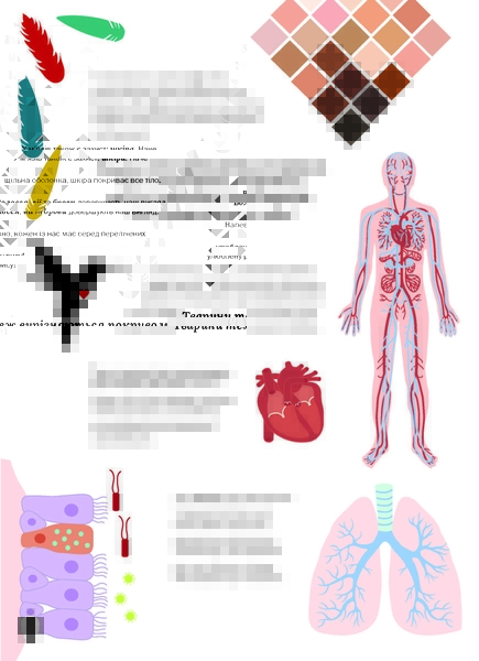 Тіло людини - Крістіна Перабоні - Pampik - 8