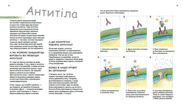 Генетика для дітей: Герої та лиходії в нашому тілі - Патрік А. Боерле, Норберт Ланда - Pampik - 3