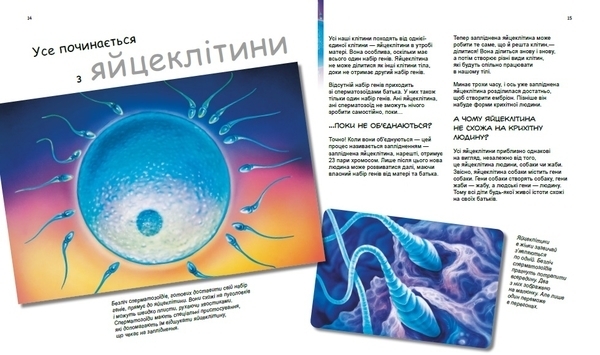 Генетика для дітей: X та Y, дівчинка або хлопчик? - Патрік А. Боерле, Норберт Ланда - Pampik - 5