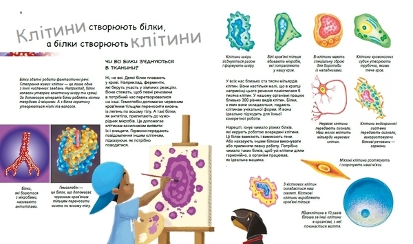 Генетика для дітей: X та Y, дівчинка або хлопчик? - Патрік А. Боерле, Норберт Ланда - Pampik - 4