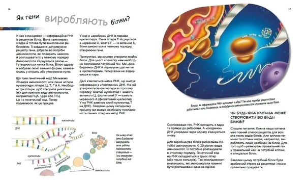 Генетика для дітей: Дивовижний світ клітин - Патрік А. Боерле, Норберт Ланда - Pampik - 4