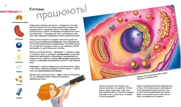 Генетика для дітей: Дивовижний світ клітин - Патрік А. Боерле, Норберт Ланда - Pampik - 6