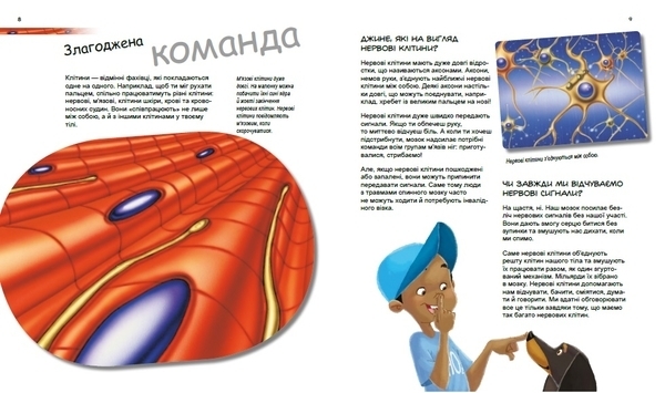 Генетика для дітей: Дивовижний світ клітин - Патрік А. Боерле, Норберт Ланда - Pampik - 3