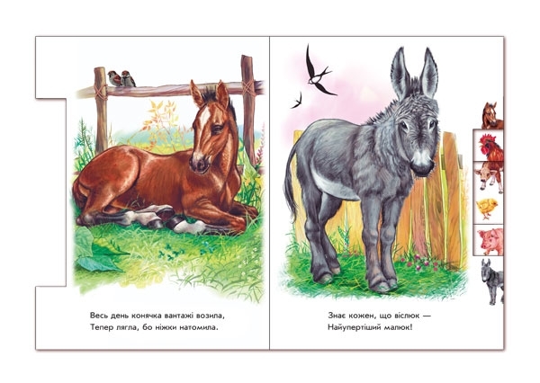 Малятам про звіряток: На підвір'ї - Г. М. Меламед - Pampik - 2