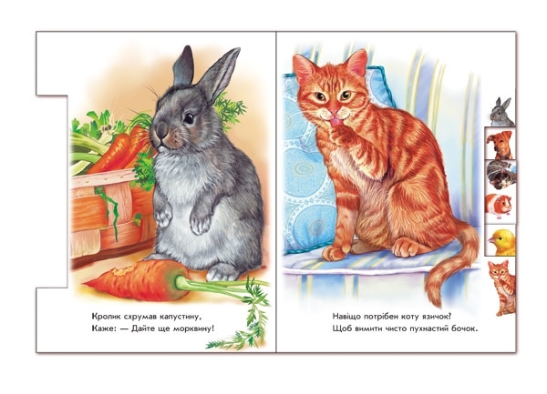 Малятам про звіряток: У домі - Г. М. Меламед - Pampik - 3