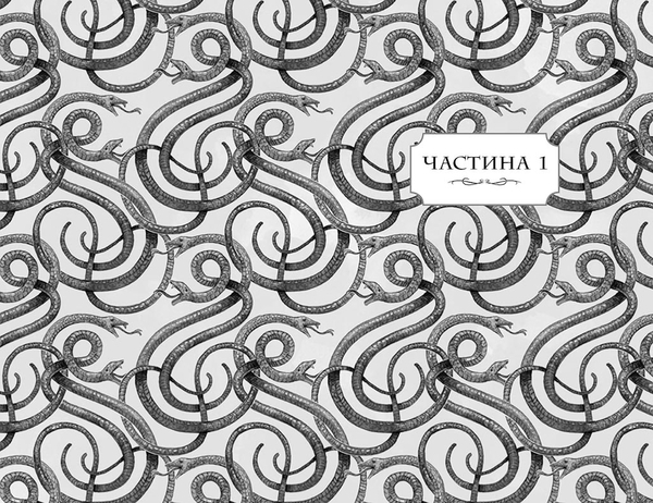 Школа добра и зла: У пошуках слави. Книга 4 - Зоман Чейнани - Pampik - 6