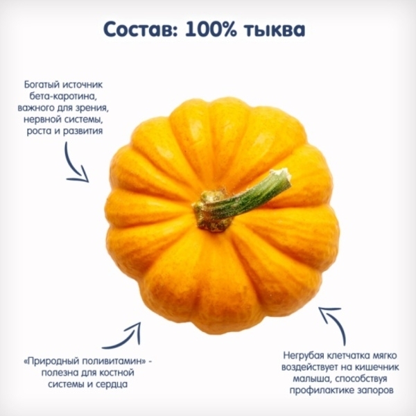 Овочеве пюре Fleur Alpine Органік Гарбуз, 90 г - Pampik - 5