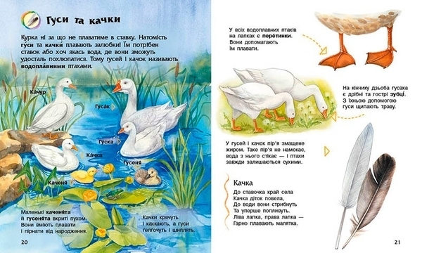 Енциклопедія дошкільника: Свійські тварини - Каспарова Юлія - Pampik - 2