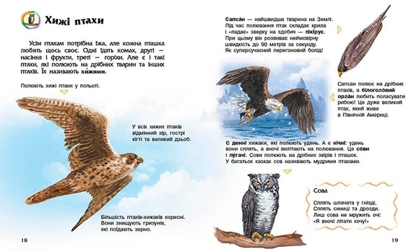 Енциклопедія дошкільника: Птахи - Каспарова Юлія - Pampik - 2