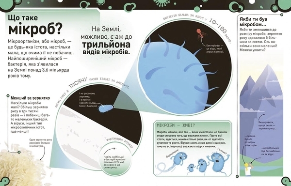 Розширення світогляду: Небачені бактерії - Стів Молд - Pampik - 4