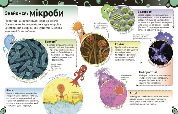 Розширення світогляду: Небачені бактерії - Стів Молд - Pampik - 5