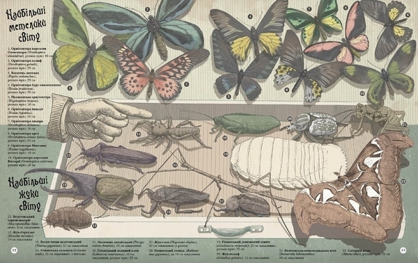 Найвища гора. Найглибший океан - Кейт Бейкер - Pampik - 2