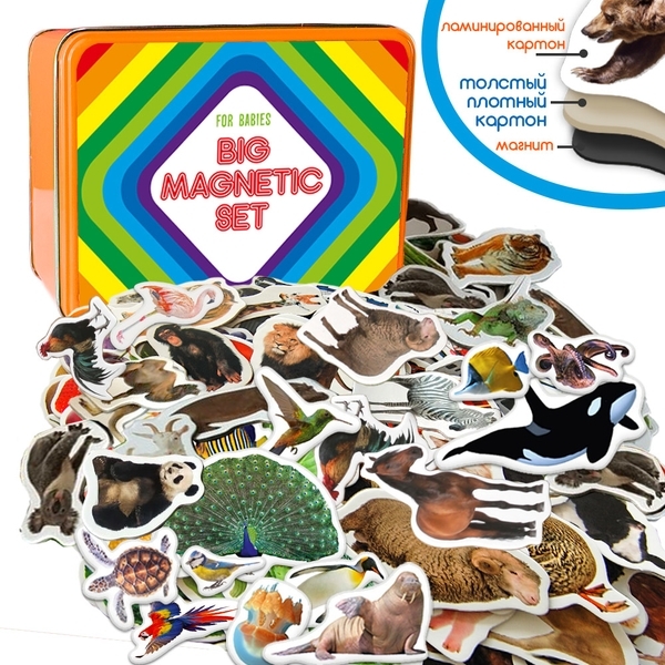 Подарунковий набір магнітів Magdum Тварини (ML4032-24 EN) - Pampik