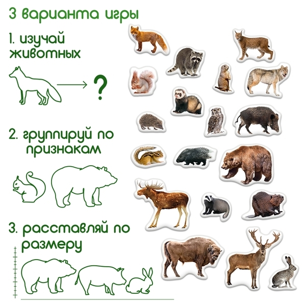 Набор магнитов Magdum Лесные жители Фото (ML4031-29 EN) - Pampik - 4