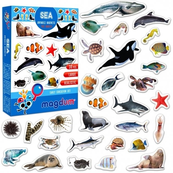 Набір магнітів Magdum Морські фото (ML4031-28 EN) - Pampik - 5