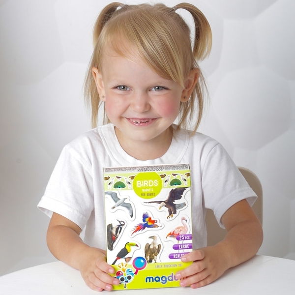 Набір магнітів Magdum Птахи Фото (ML4031-30 EN) - Pampik - 8