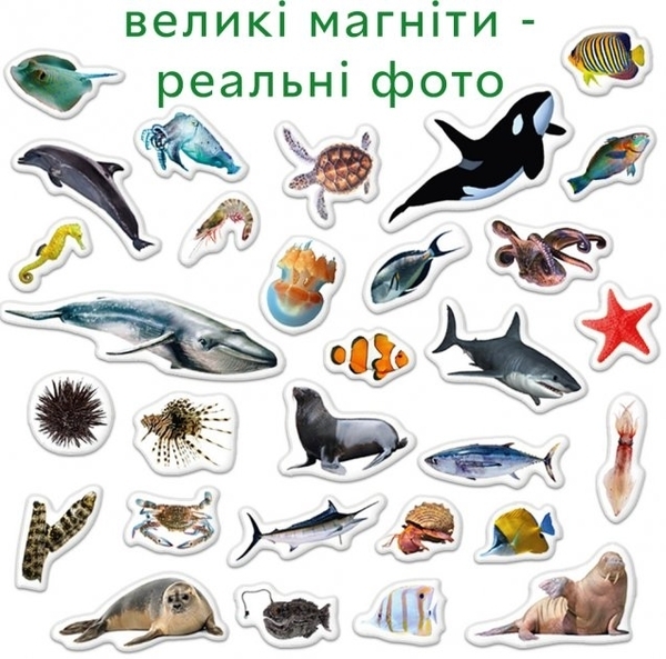 Набір магнітів Magdum Морські фото (ML4031-28 EN) - Pampik - 4