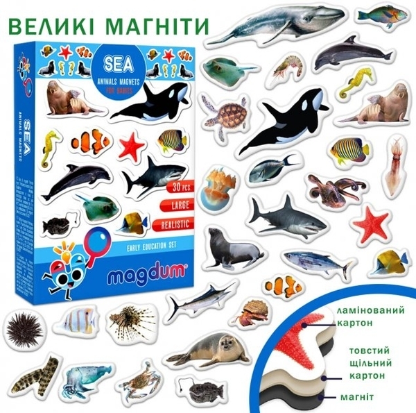 Набір магнітів Magdum Морські фото (ML4031-28 EN) - Pampik - 3