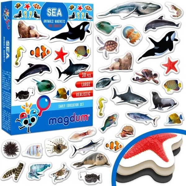 Набір магнітів Magdum Морські фото (ML4031-28 EN) - Pampik - 2