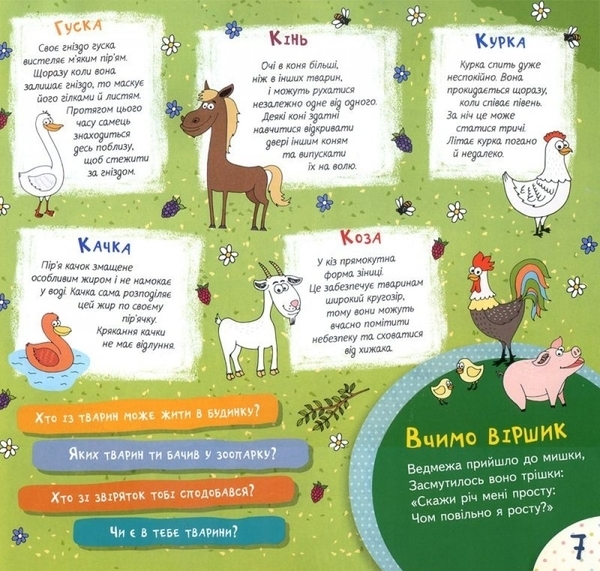 Книжка єнота Федота (1001947) - Pampik - 2