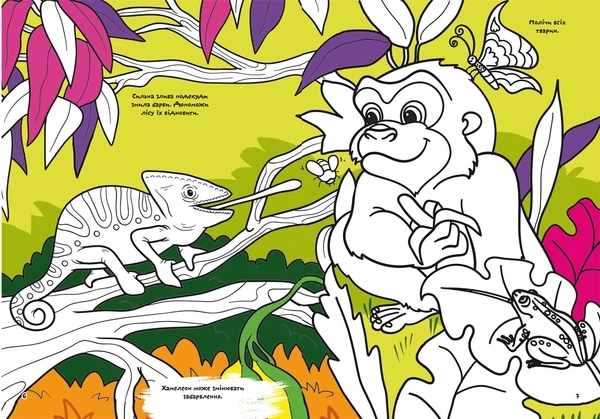 Перша кольорова розмальовка з розвивальними завданнями. Малюємо тварин - Pampik - 2