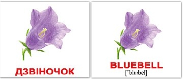 Комплект карточек по методике Глена Домана МИНИ “Цветы” (укр)(eng) Вундеркинд с пелёнок, укр - Pampik