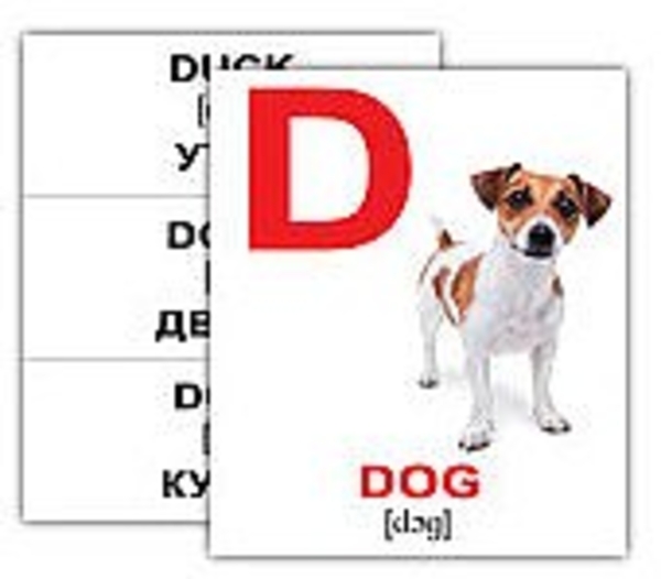 Набор карточек "Алфавит" 26 карточек Вундеркинд с пелёнок - Pampik - 5