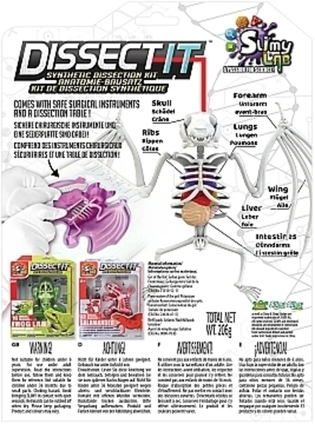 Развивающий набор Slimy Lab Dissect It "Анатомия животных. Летучая мышь" JOKER - Pampik - 4