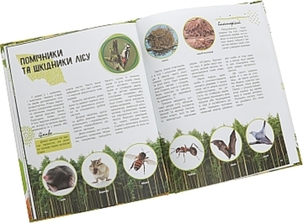 Книга "Мир и его тайны. Жизнь леса" на украинском языке Ранок - Pampik - 2