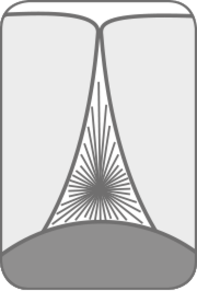 Межзубные ершики Paro Swiss 3star Grip,средний, 4,5 мм, зеленый, 4 шт. - Pampik - 3