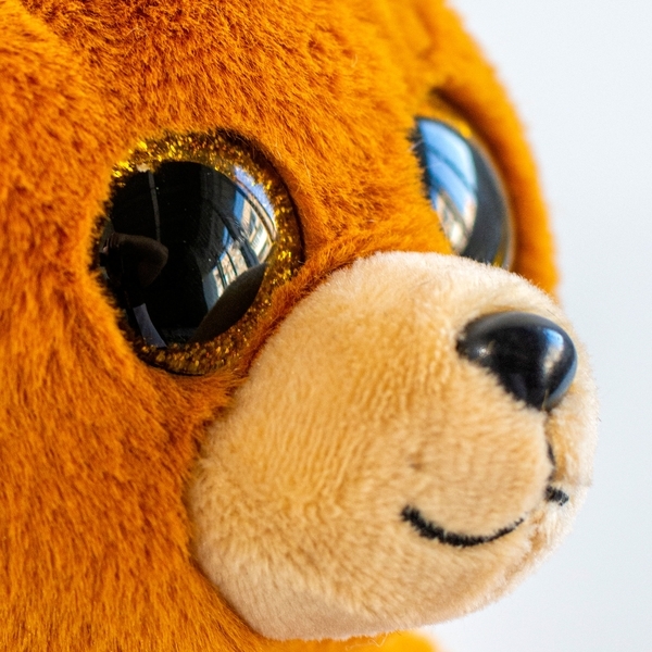 М'яка іграшка TY Beanie Babies Ведмедик Duncan, 22 см (40549) - Pampik - 4