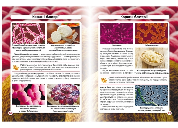 Книга Світ навколо нас. Бактерії - Pampik - 2