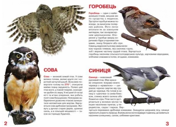 Велика книжка. Птахи (F00013166) - Pampik - 2