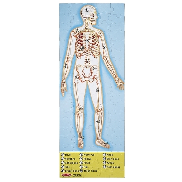 Мега-пазл Melissa&Doug Строение человека, 100 эл. (MD445) - Pampik - 2
