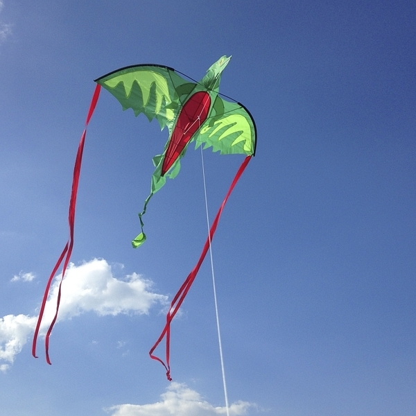 Повітряний змій Melissa&Doug Дракон (MD40217) - Pampik - 3