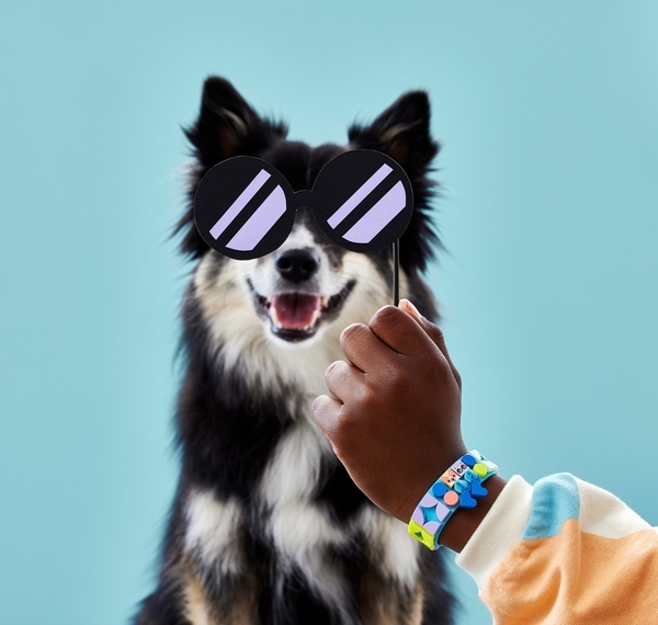 Конструктор LEGO DOTs Браслет Мої домашні улюбленці, 37 деталей (41801) - Pampik - 8