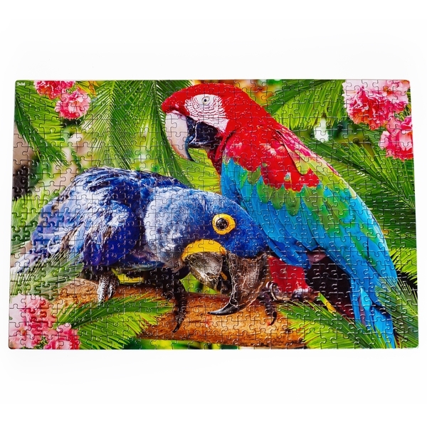 Пазл De.tail Parrots, 500 елементів (DT500-01) - Pampik - 2