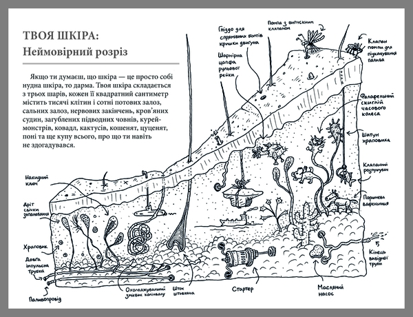 Що це за орган? Дурнуватий довідник з анатомії твого тіла - Енді Ґріффітс - Pampik - 5